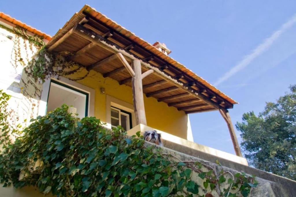 Serra Casa Da Ruivaヴィラ エクステリア 写真