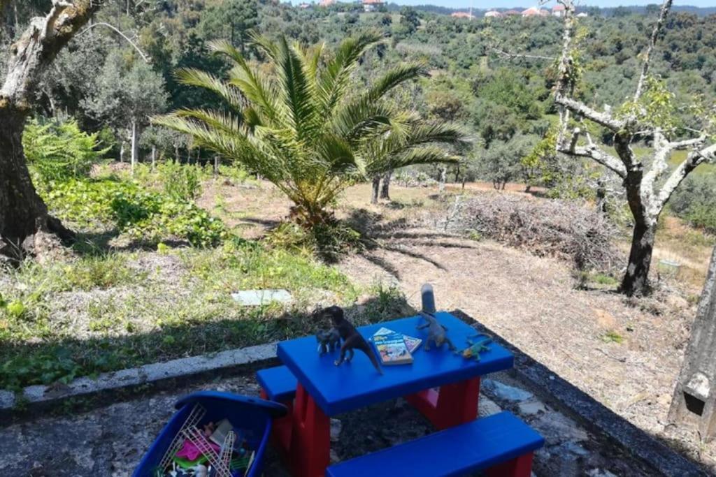 Serra Casa Da Ruivaヴィラ エクステリア 写真