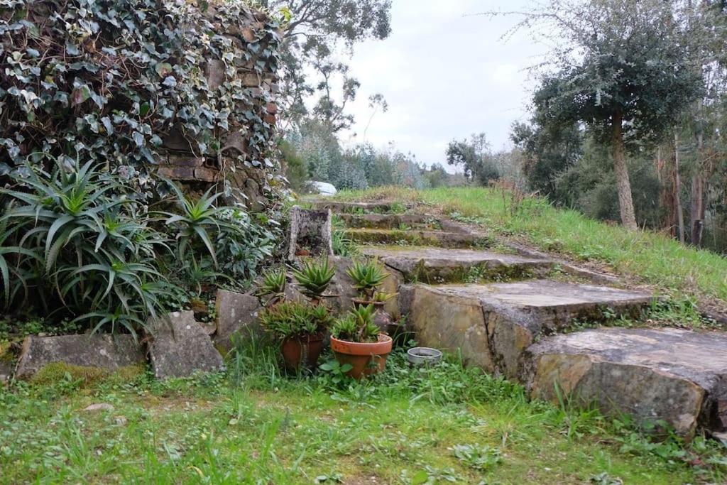 Serra Casa Da Ruivaヴィラ エクステリア 写真